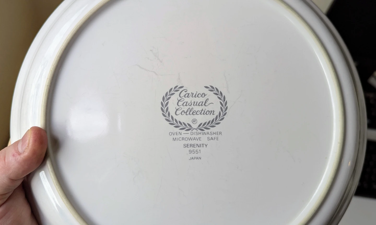 Carico Casual Collection Serenity Dinner Plates - Set of 4 - photo 5