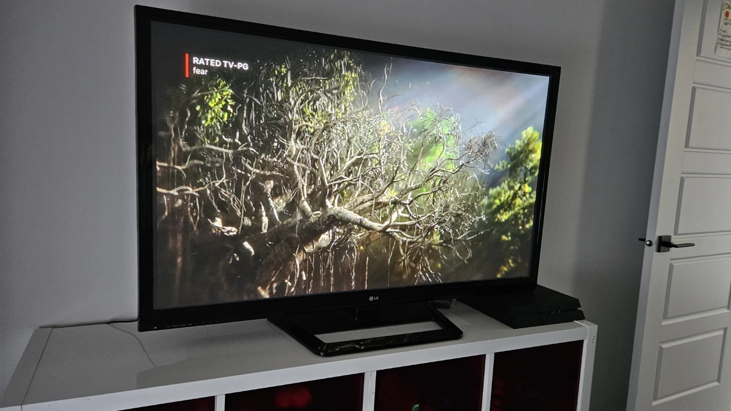 50" Plasma LG TV - photo 3