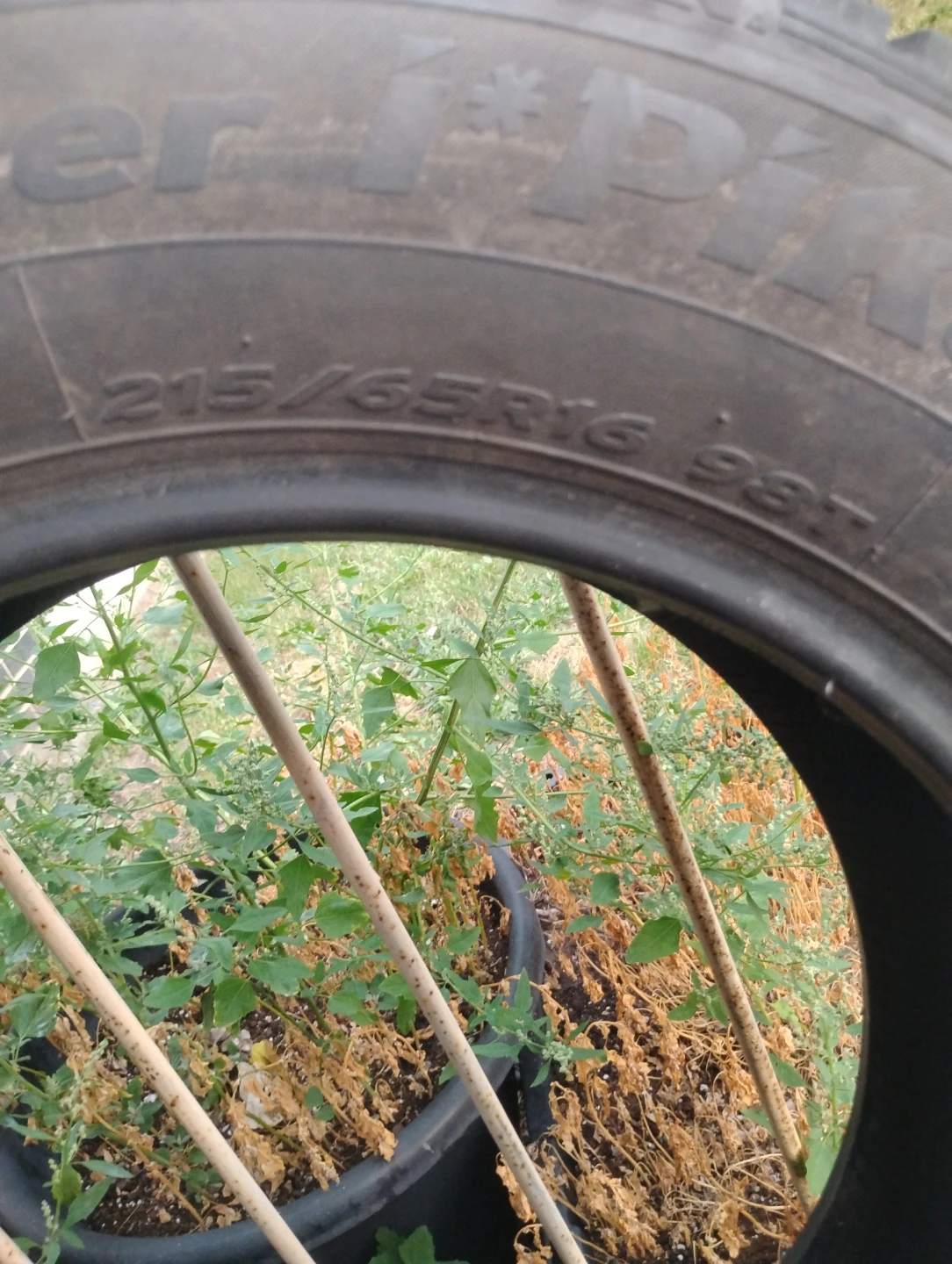 Winter Tires - Set of 4