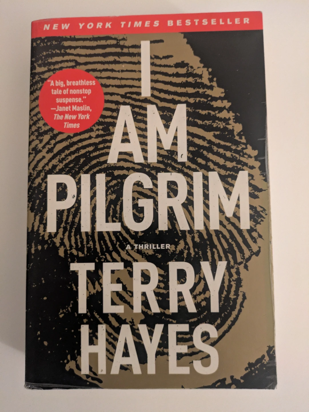 I Am Pilgrim by Terry Hayes Thriller Novel