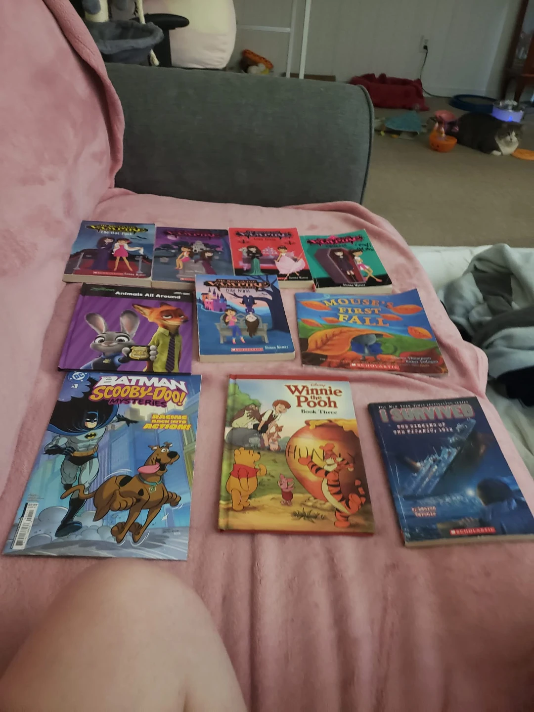 Assorted Children's Books Collection - photo 2