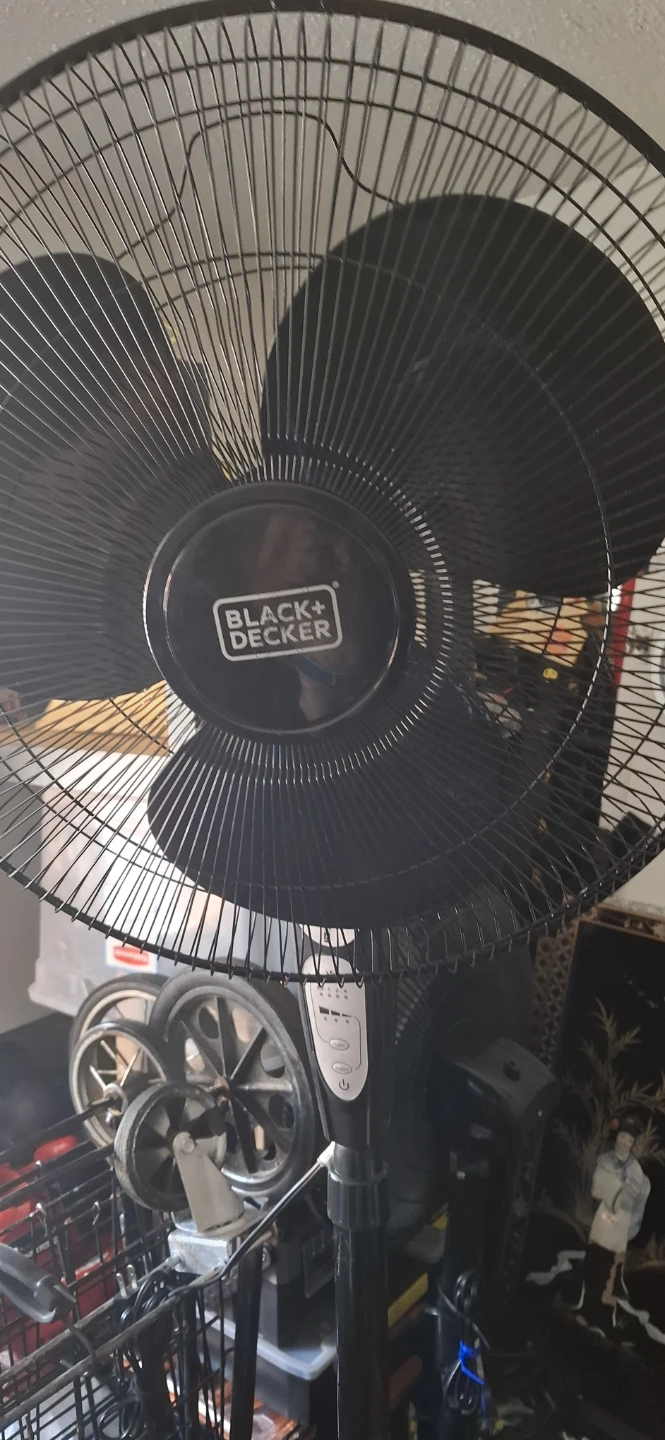 Standing Oscillating Pedestal Fan