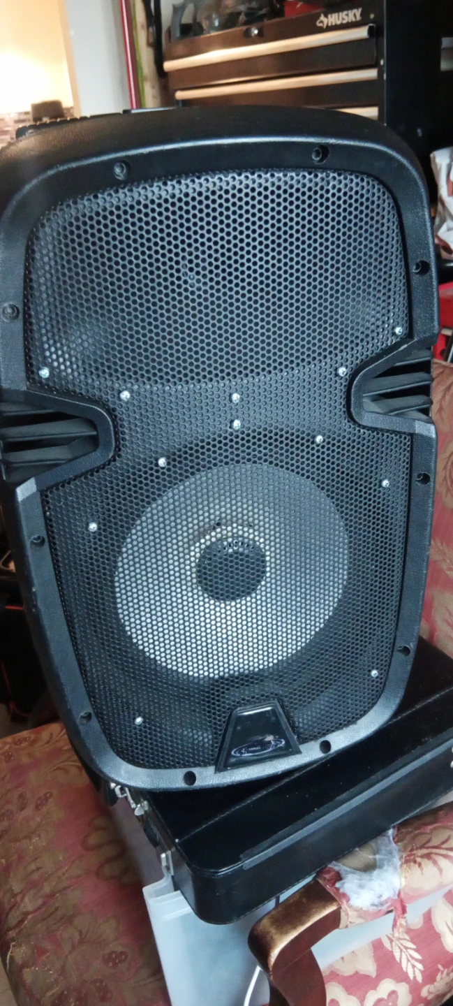 Acoustic Audio ST-A310TN-19 PA Speaker