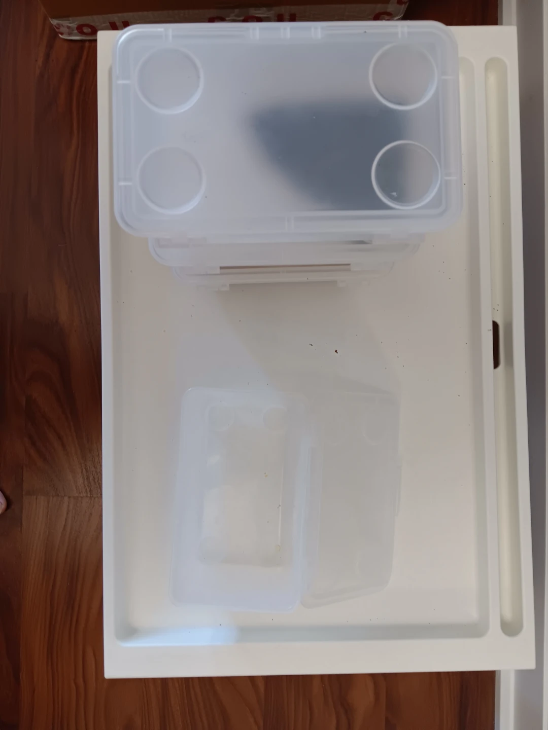 Clear Plastic Storage Containers (Set of 4)