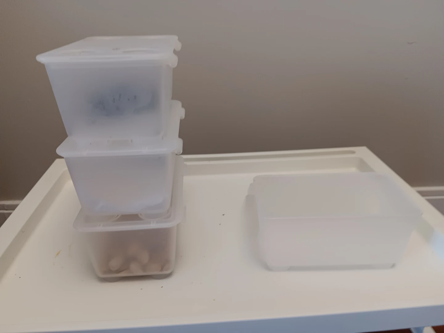 Clear Plastic Storage Containers (Set of 4) - photo 2