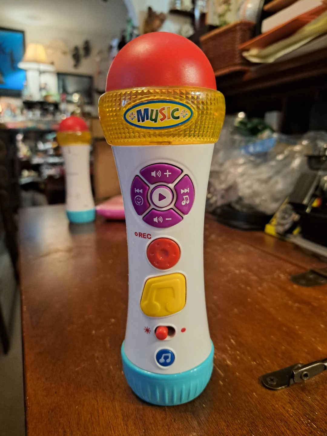 Sing-Along Music Microphone Toy