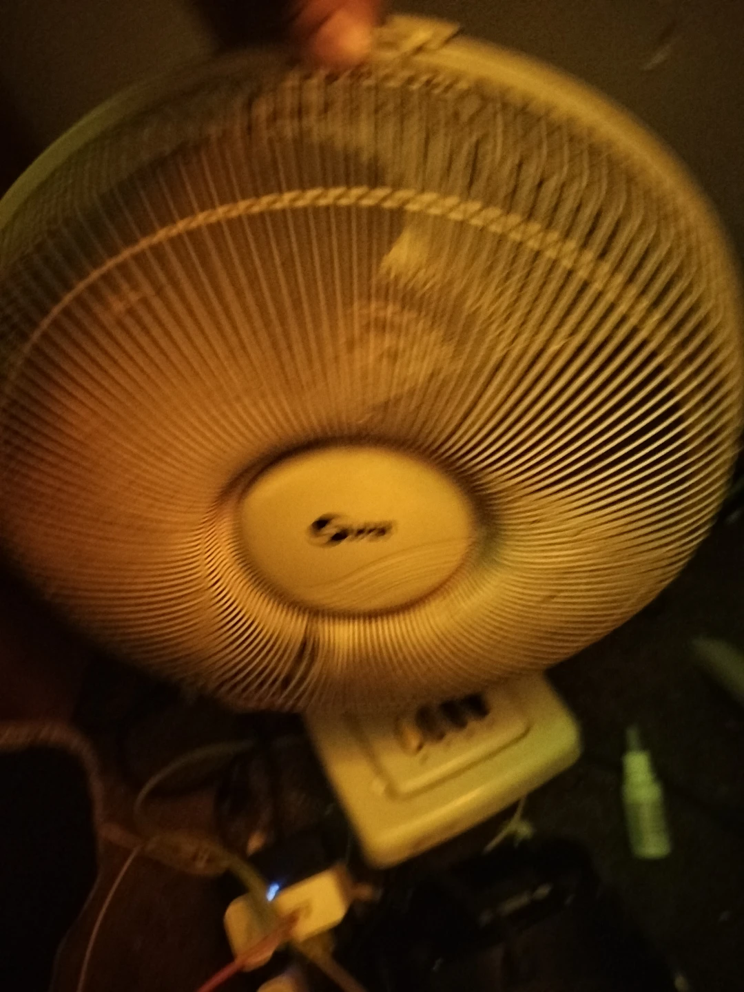 Fan