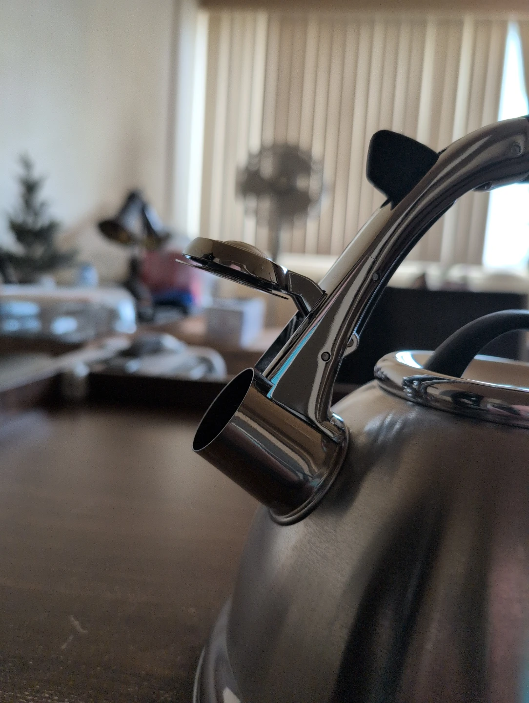 Lepicure Stainless Steel Whistling Kettle - photo 4