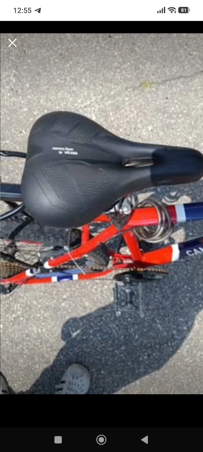 Montreal Canadien Supercycle Bike 27" - photo 3