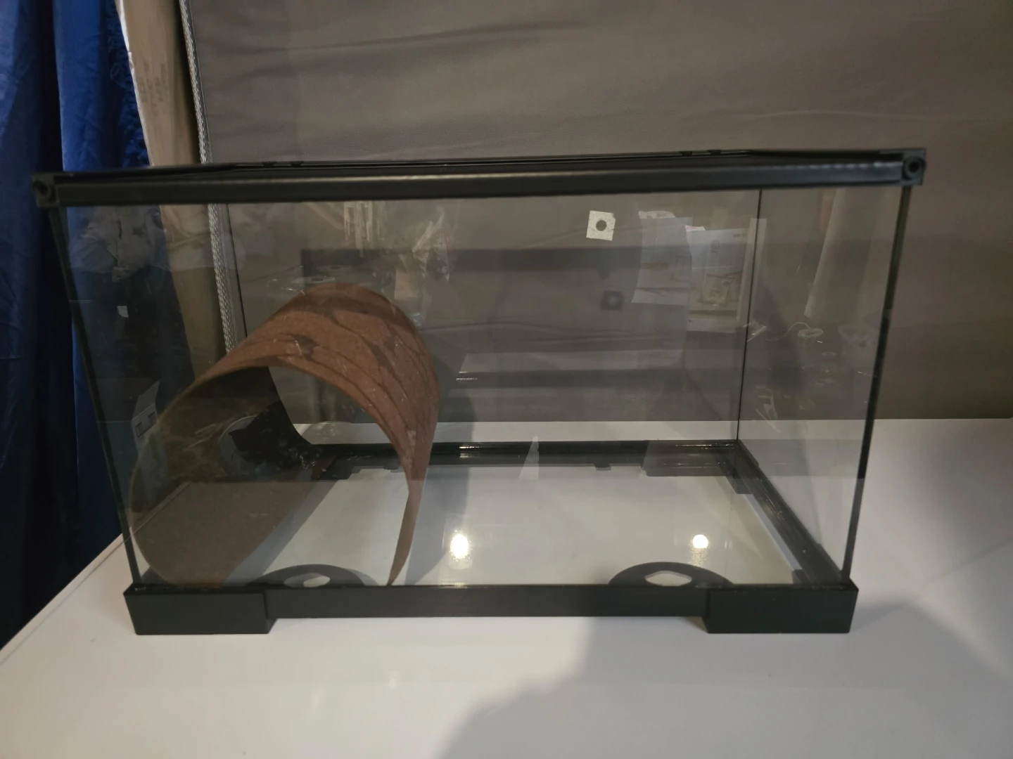 Glass Terrarium Tank