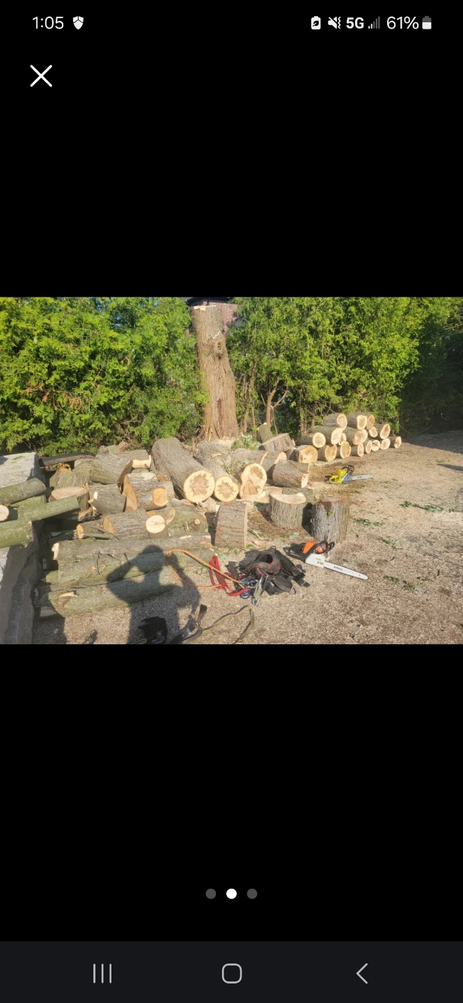 Jackman Treecare - photo 2