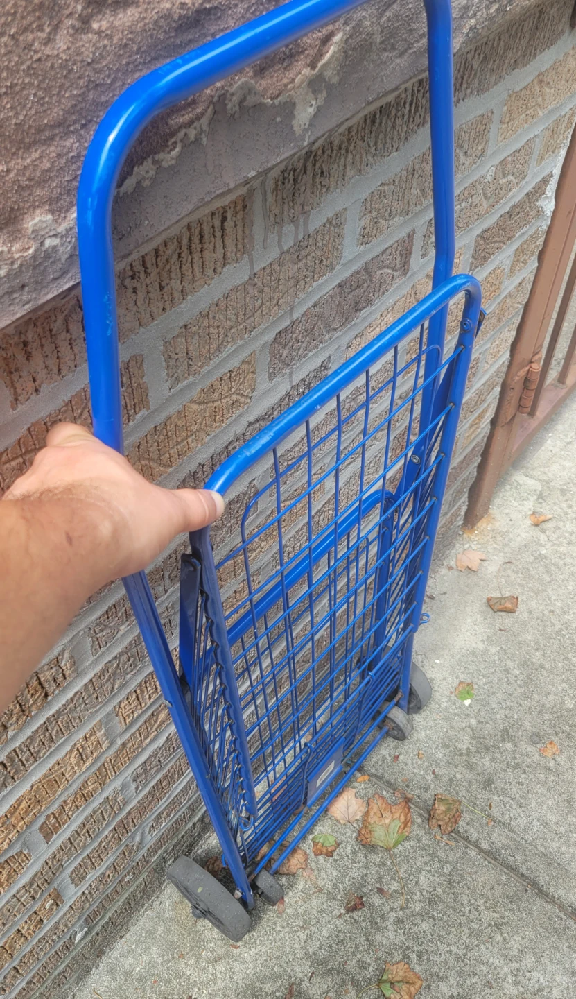 Small Blue Folding Shopping Cart - photo 4