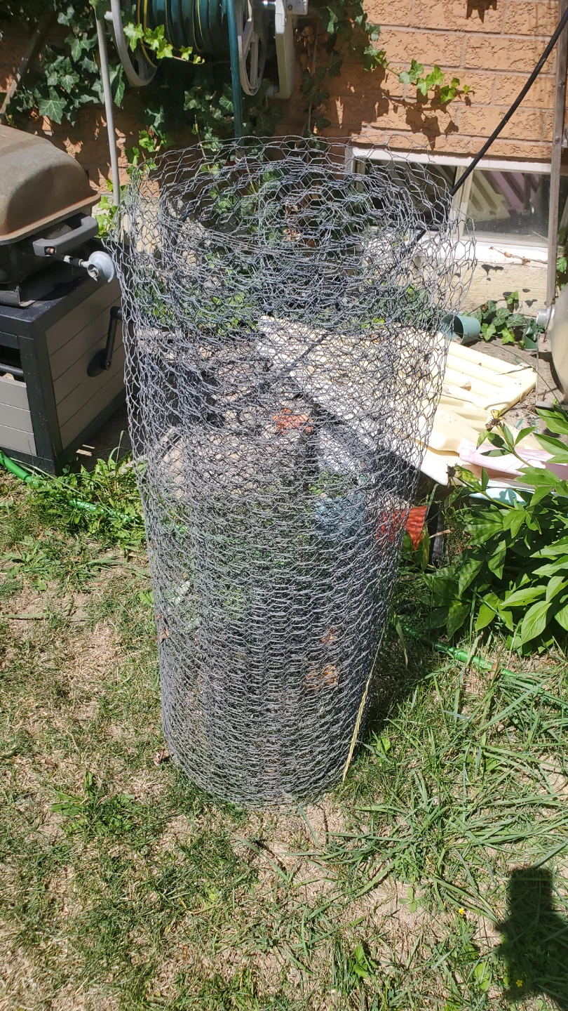 Wire Mesh Cylinder