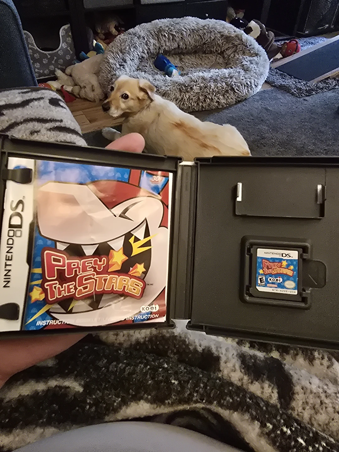 Nintendo DS Game - Prey the Stars - photo 2
