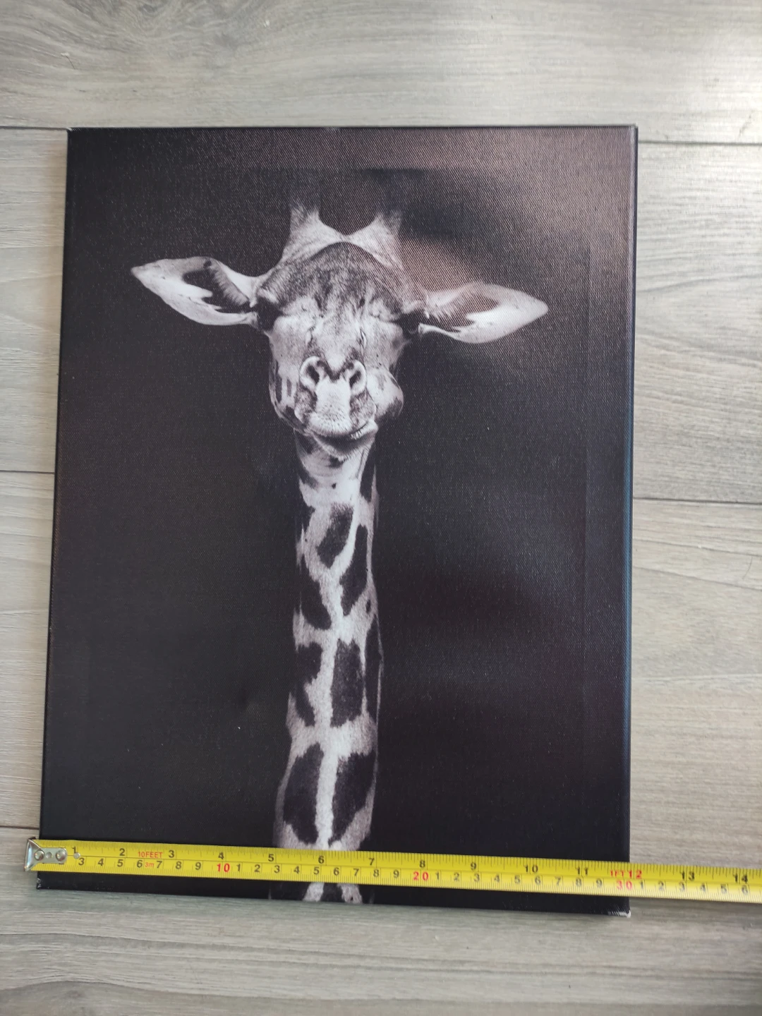 Black and White Giraffe Canvas Print Wall Art #free - photo 3
