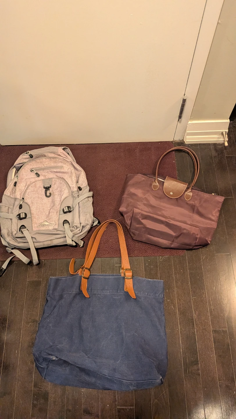 Backpack, Tote Bag, and Pouch Set