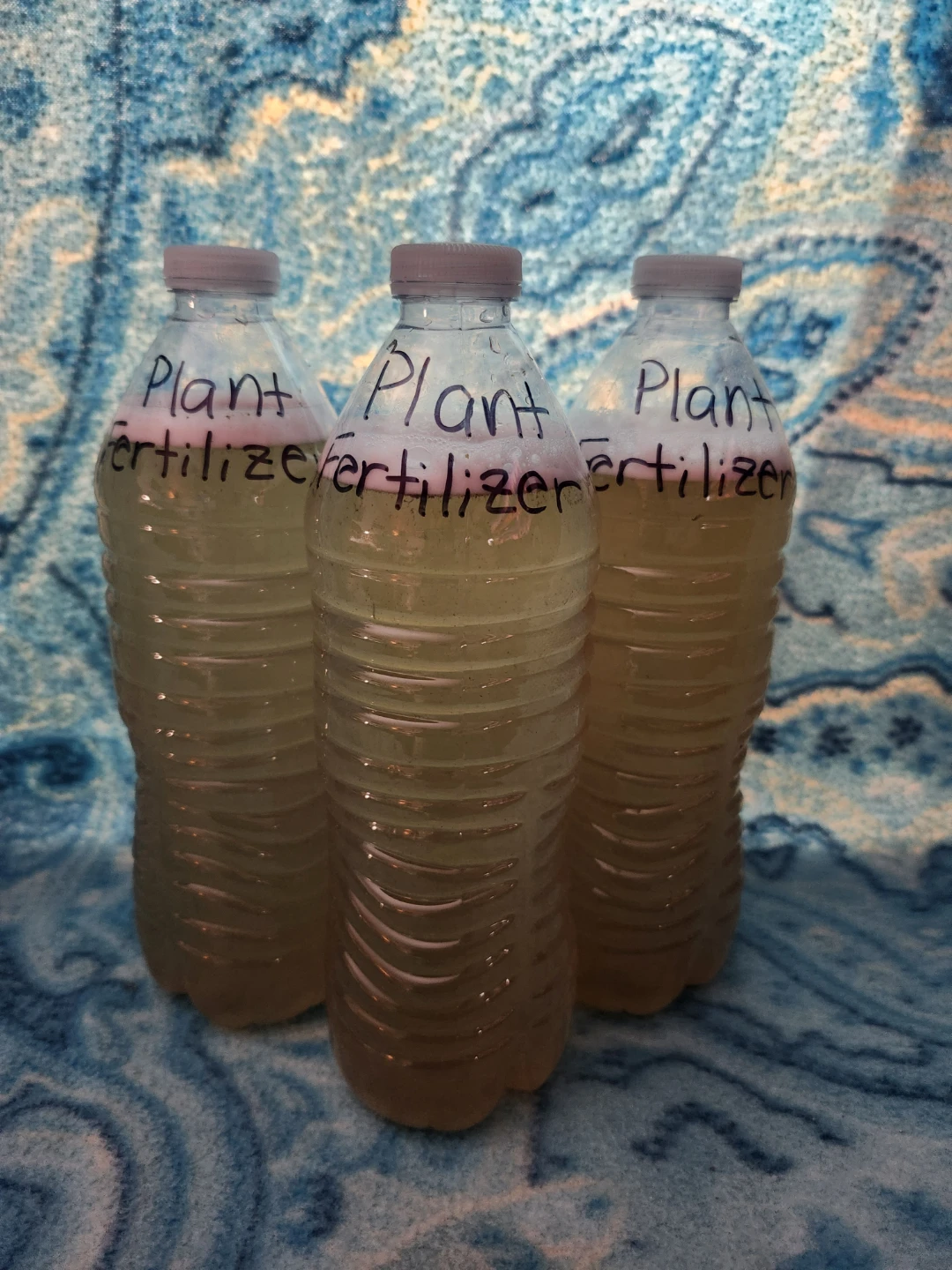 16 oz. Bottles of Concentrated Homemade Organic Plant Fertilizer