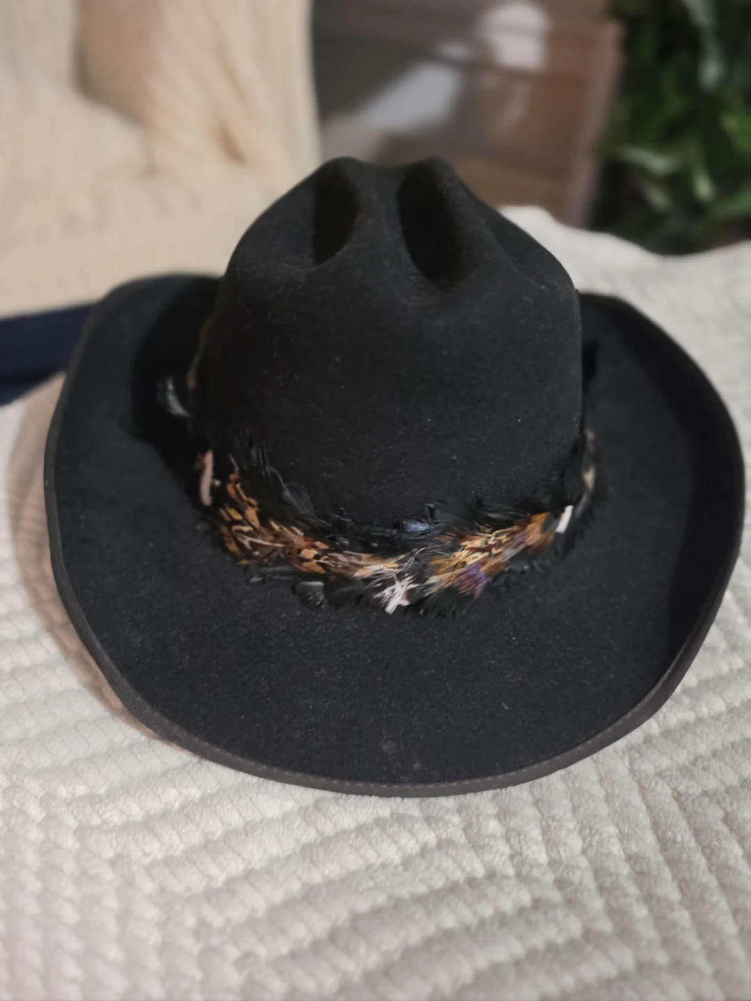 Black Cowboy Hat with Feather Band