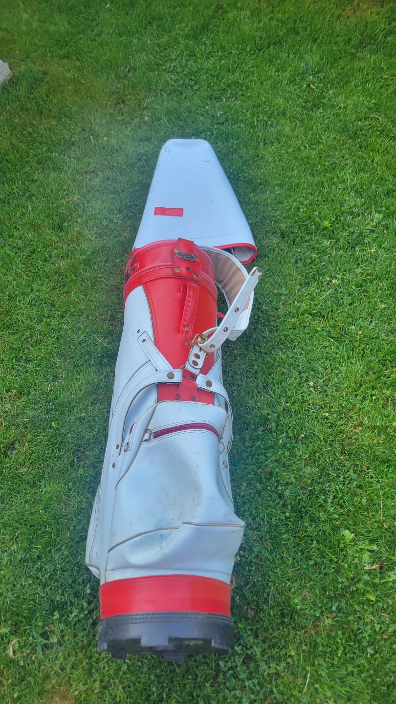Wilson Professional Golf Bag
