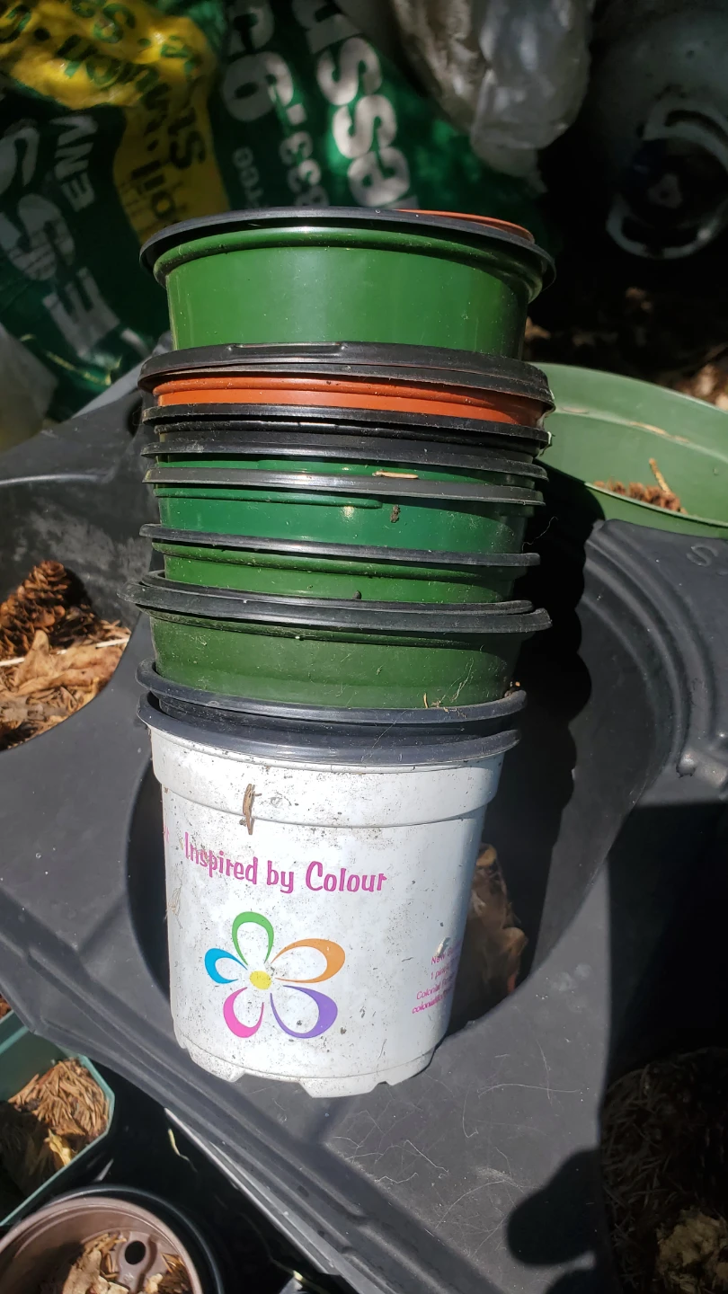 Assorted Plant Pots and Seed Trays - photo 3
