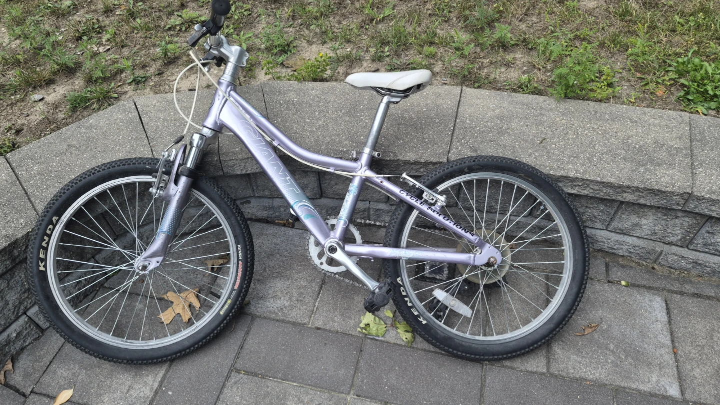 Giant Kids Bike