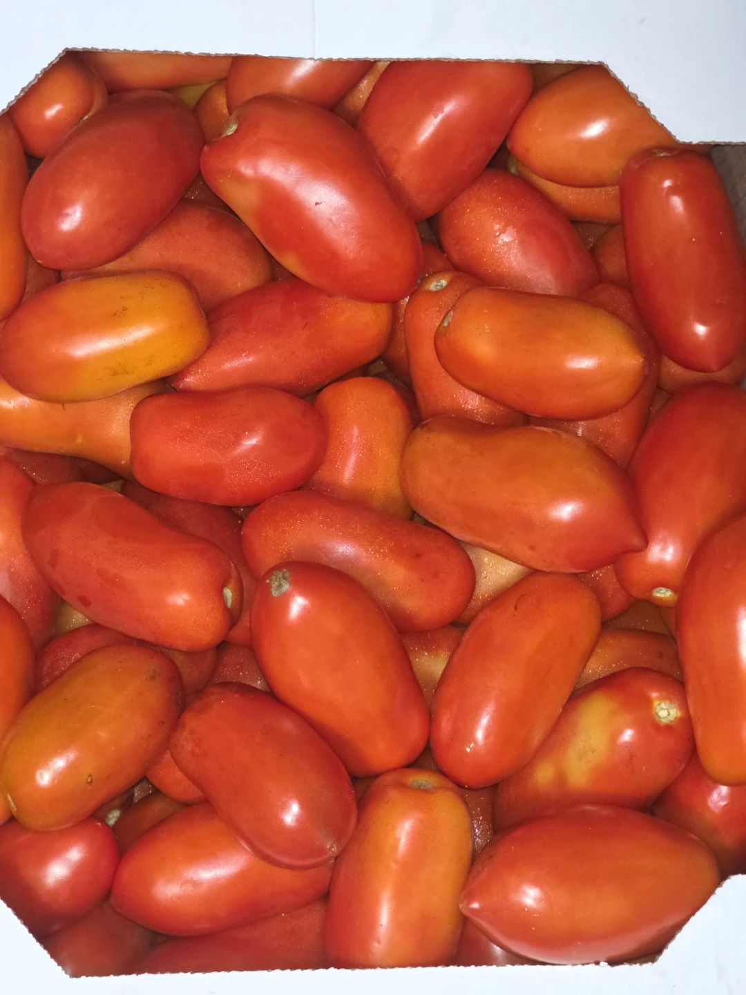 Roma Tomatoes
