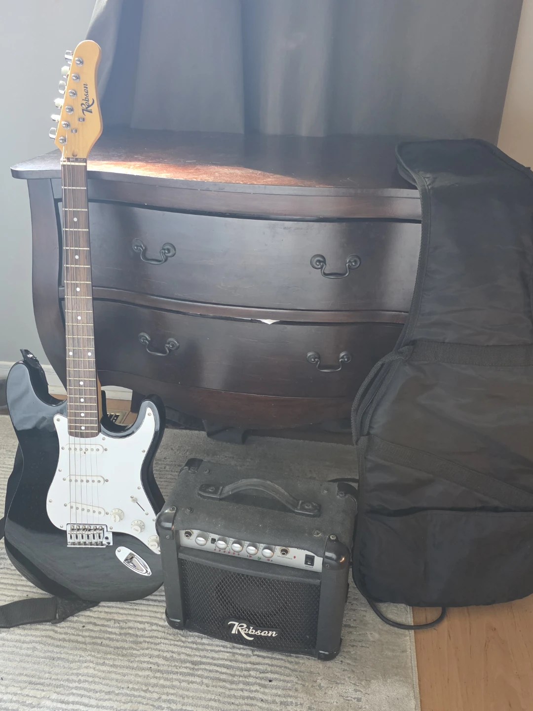 Electric guitar amp cable and case