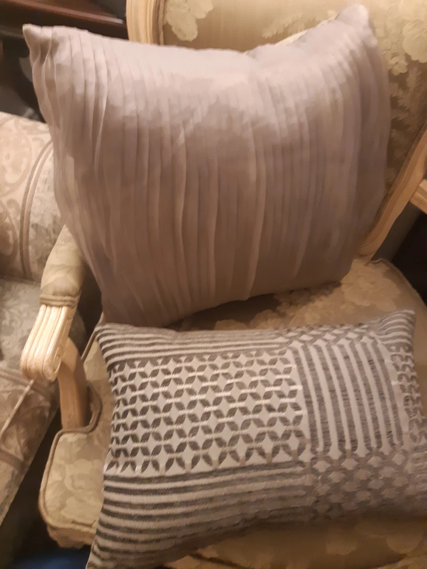Decorative Throw Pillows - photo 2