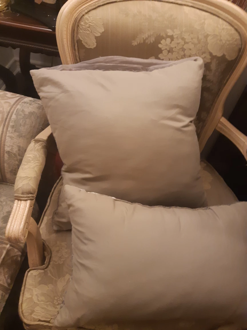 Decorative Throw Pillows - photo 3