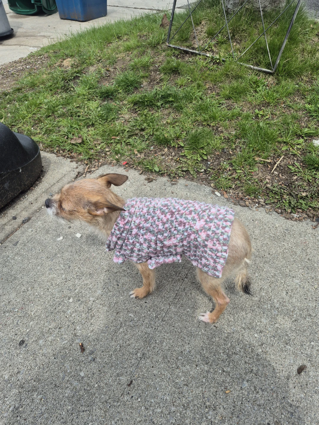Handmade Crochet Dog Sweater - photo 4