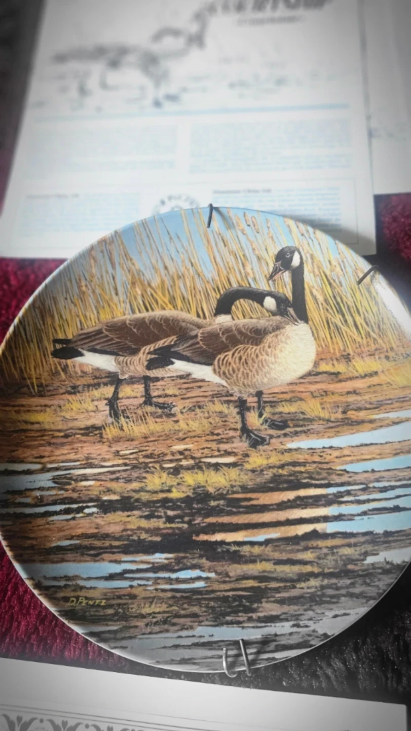 Collectable Vintage Plates in perfect  condition. - photo 2