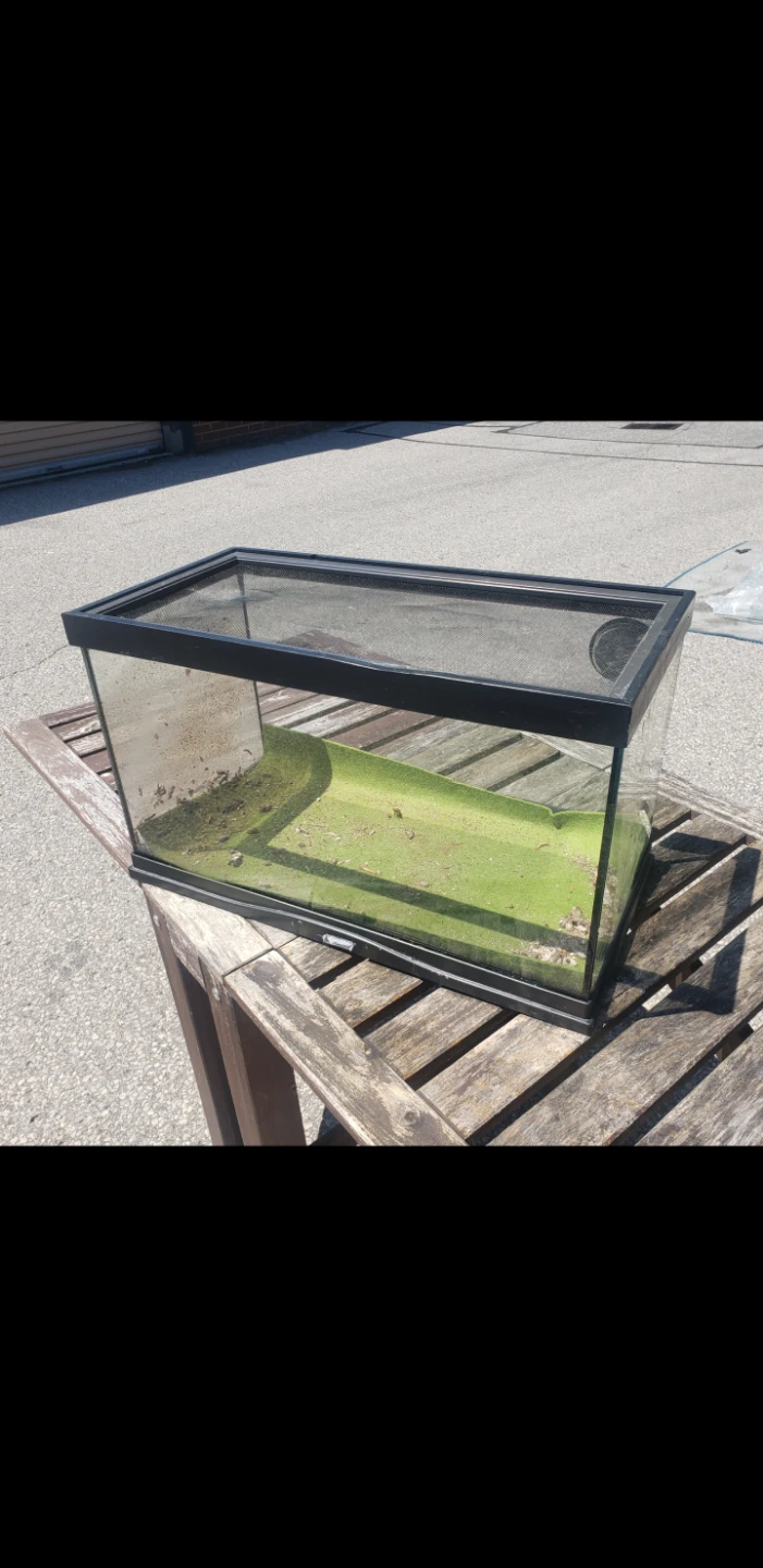 Glass terrarium tank