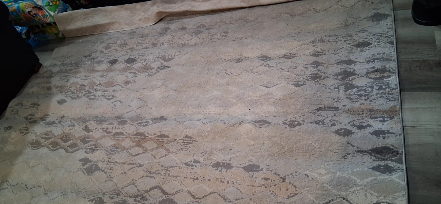 Gertmenian Brio Area Rug 7' 10" x 10' - photo 4