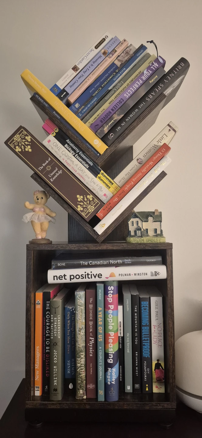 Unique Tree Bookshelf with Storage Base