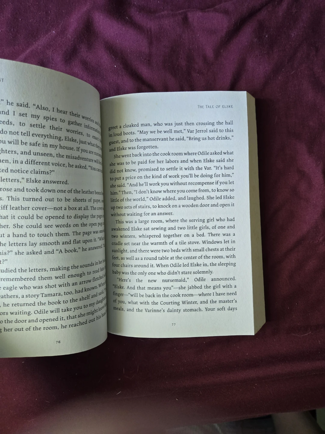 The Tale of Elske by Cynthia Voigt - photo 5