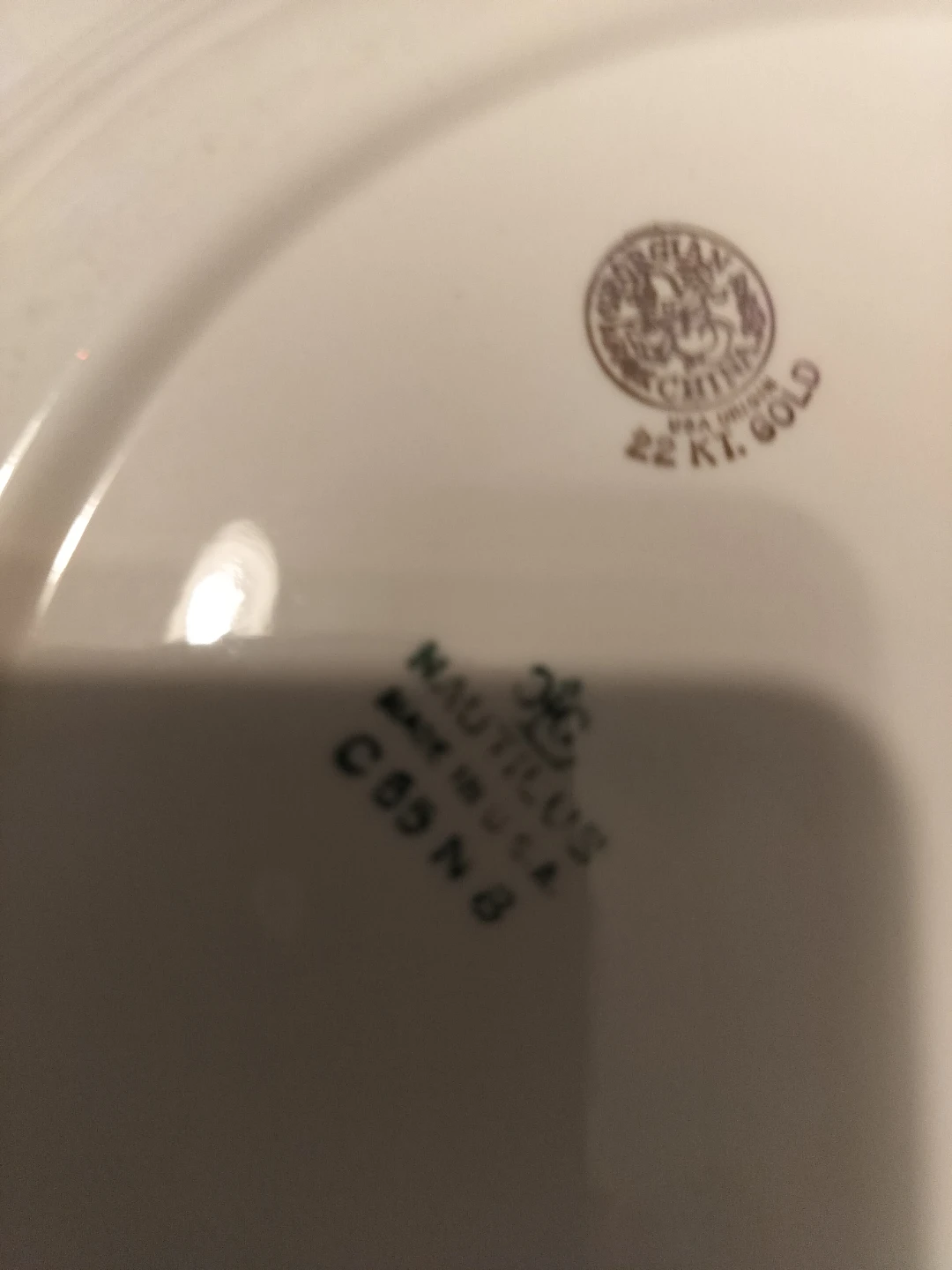 Nautilus Serving Plate with 22 Kt Gold Trim