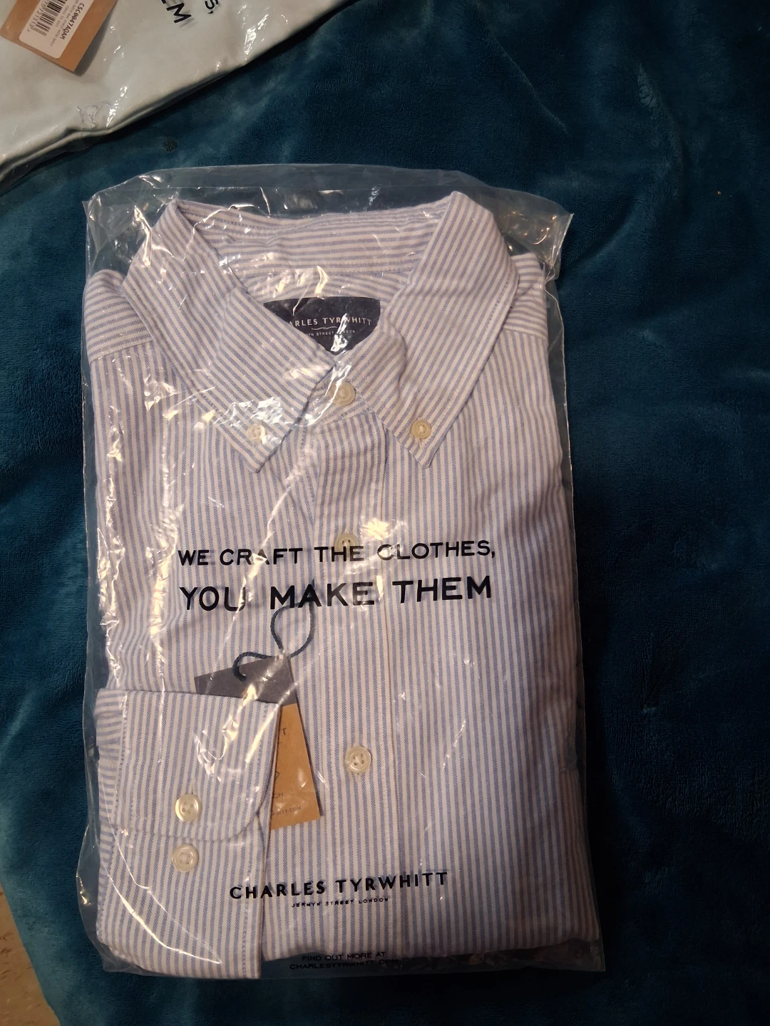 Charles Tyrwhitt Blue and White Striped Shirt