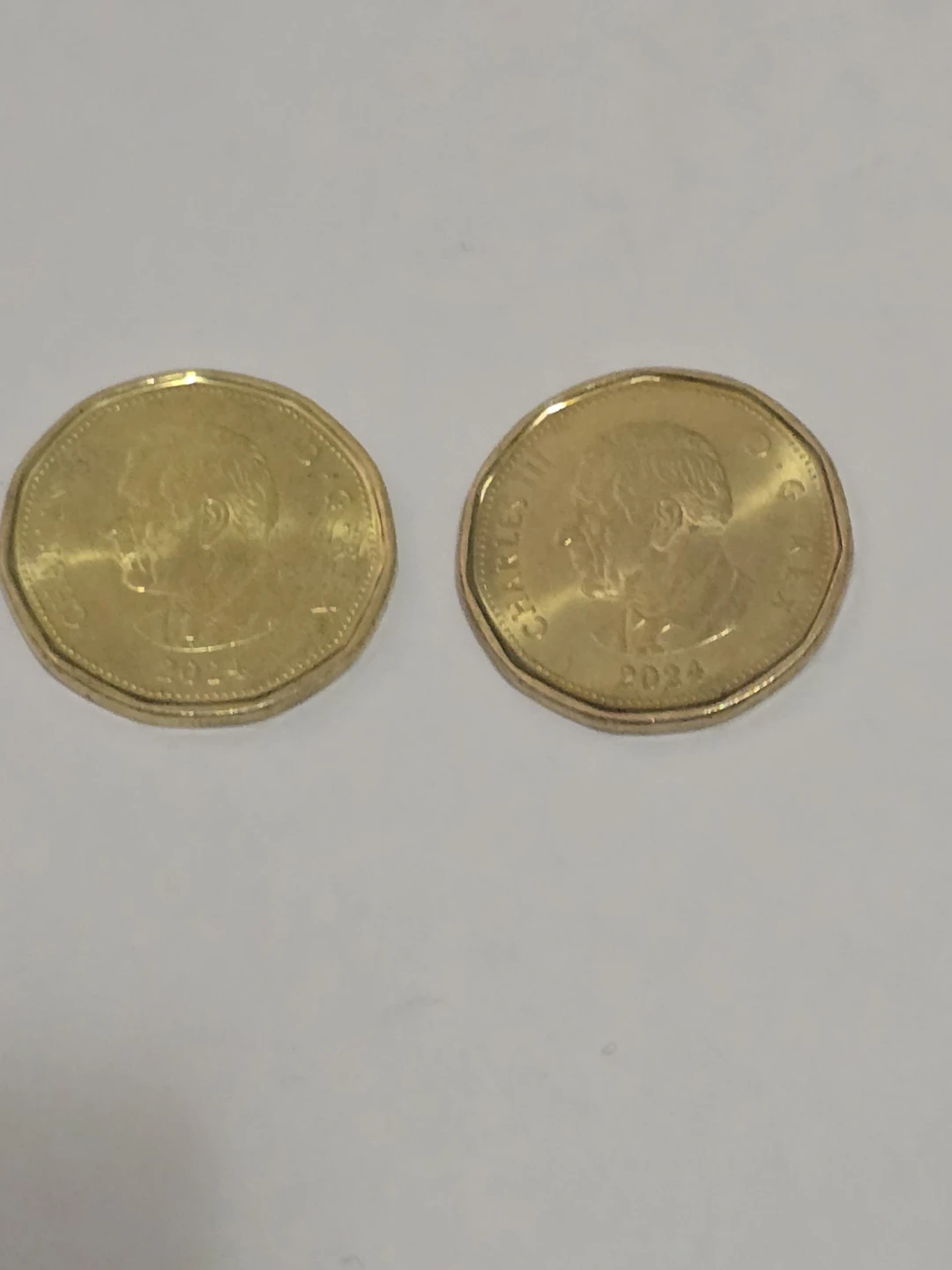 Canada Loonie Coin - photo 2