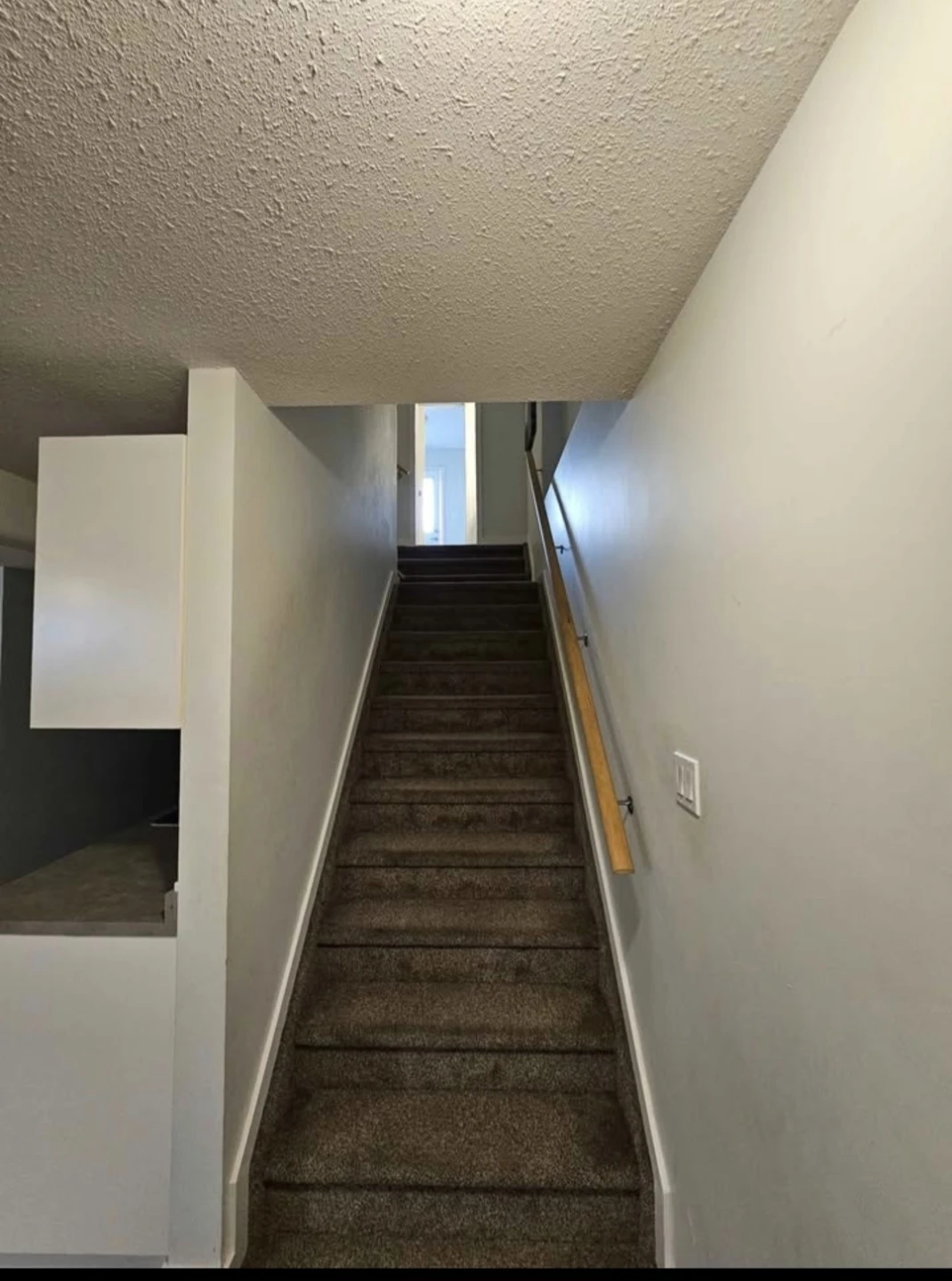 Basement For Rent- EDMONTON LAUREL - photo 5