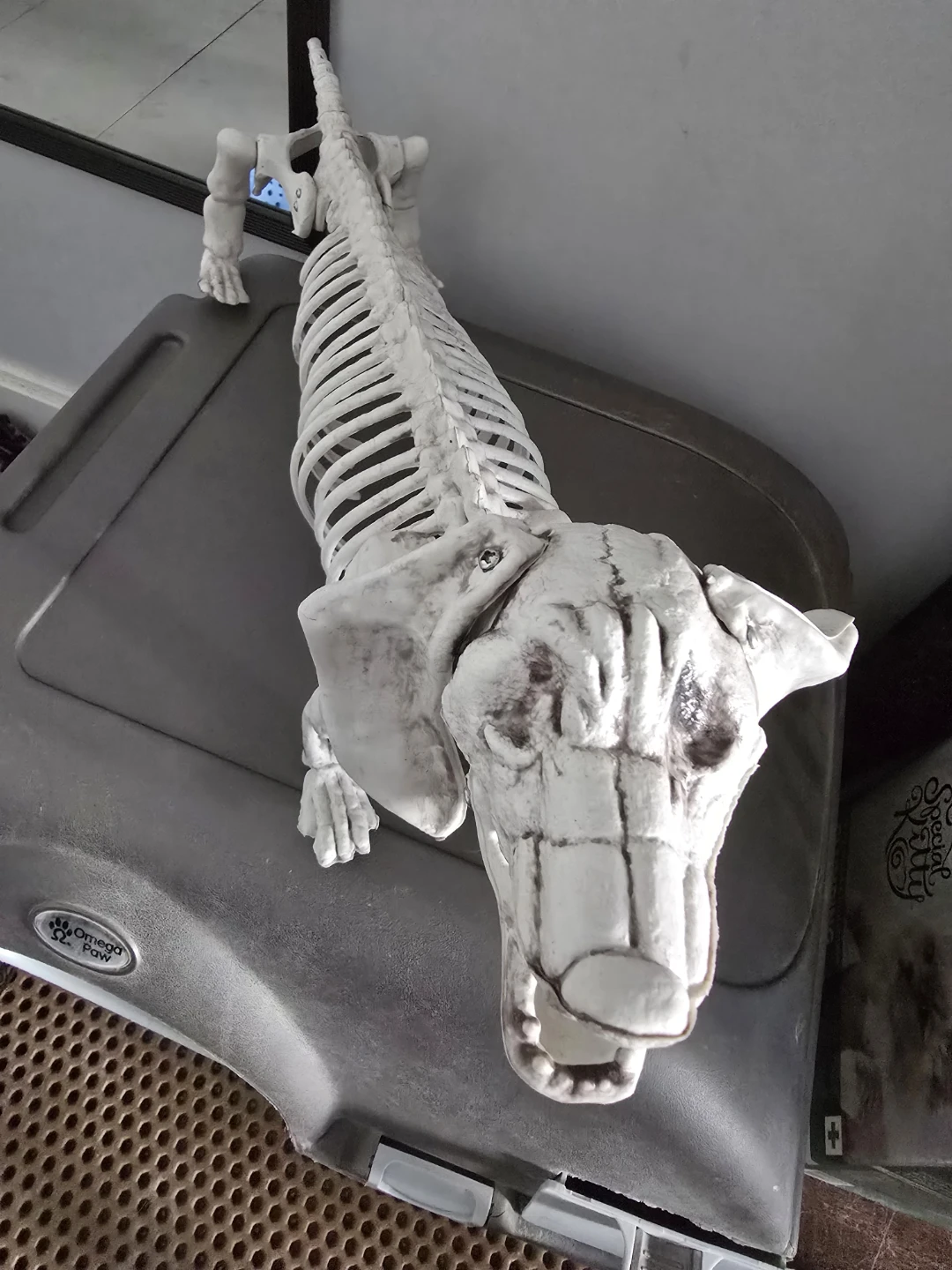 Skeleton Dog Prop