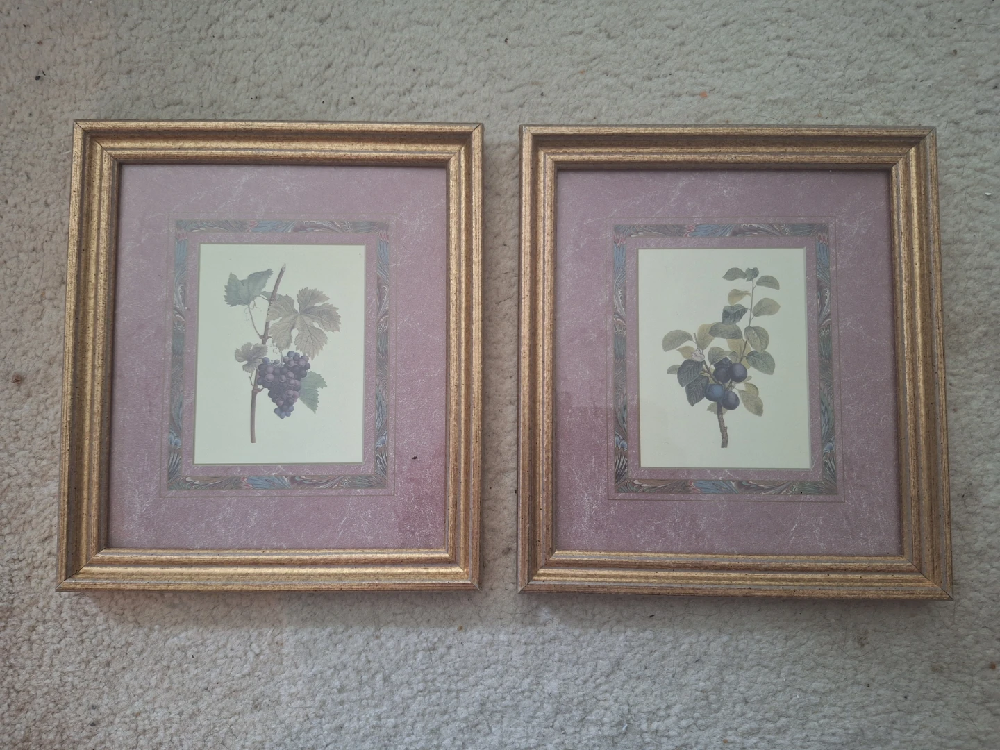 Set of 2 Framed Botanical Prints 🍇