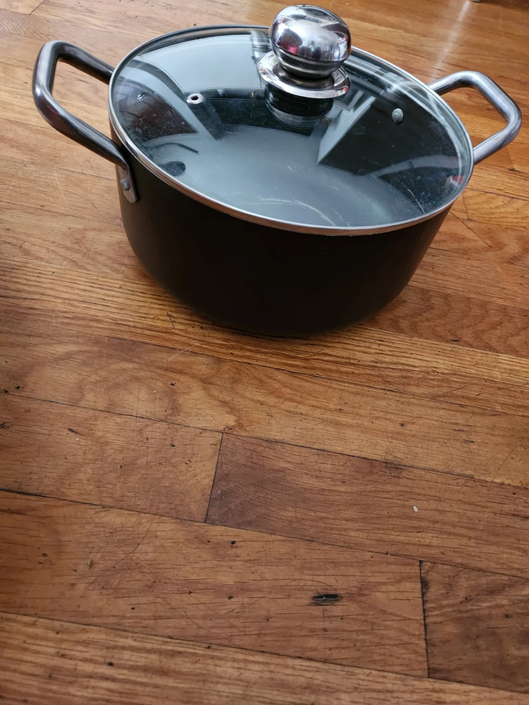 Black Stock Pot with Glass Lid