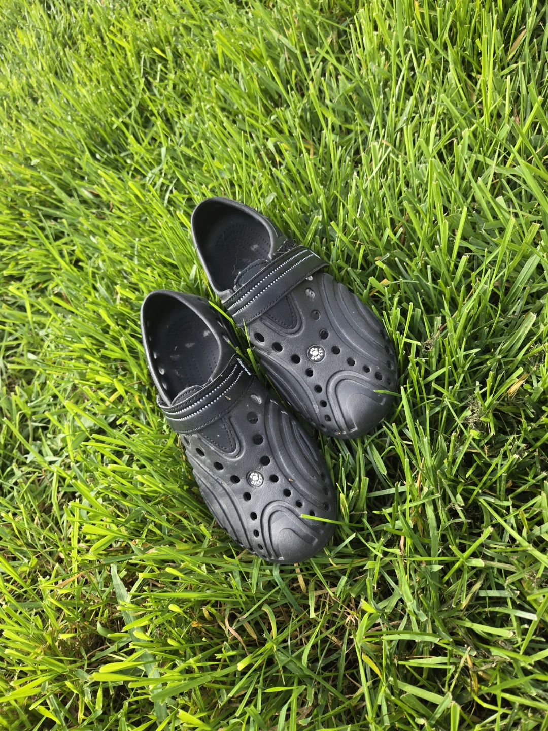 Dawgs size 6