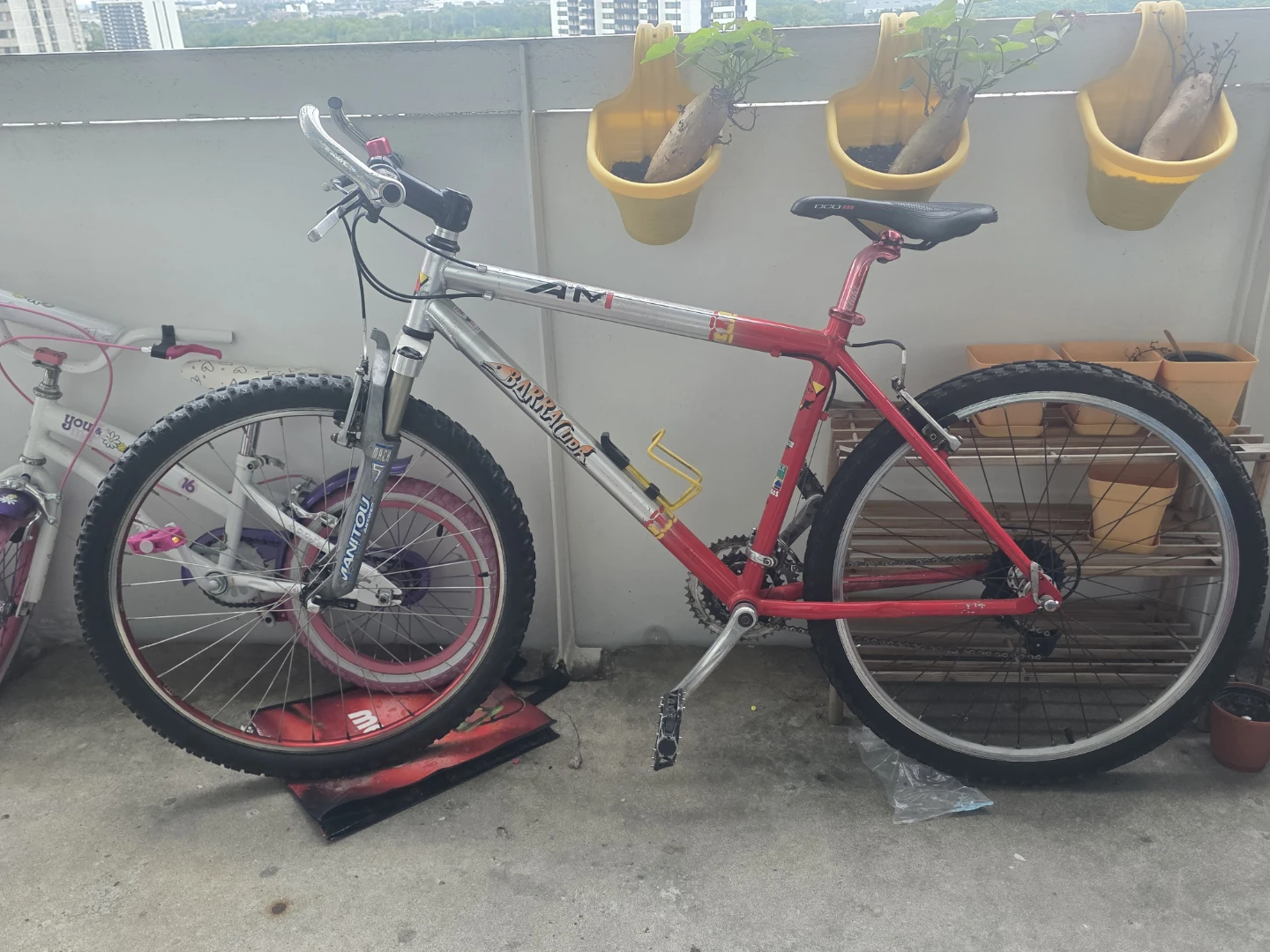 Bike with free bike