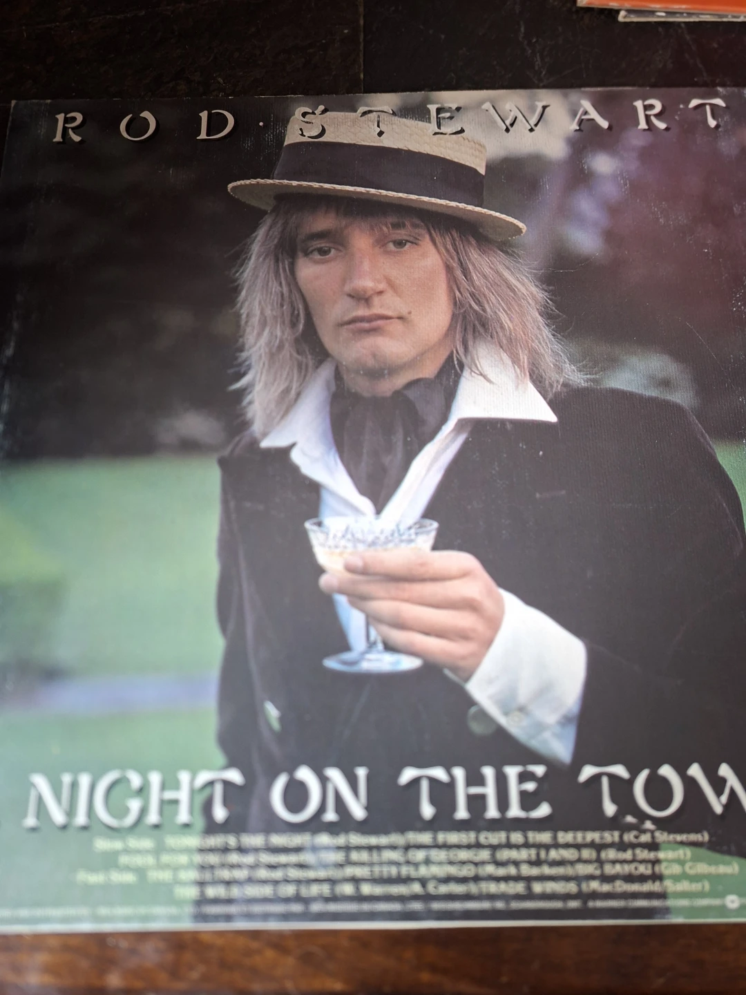 Rod Stewart Night On The Town Vinyl Record