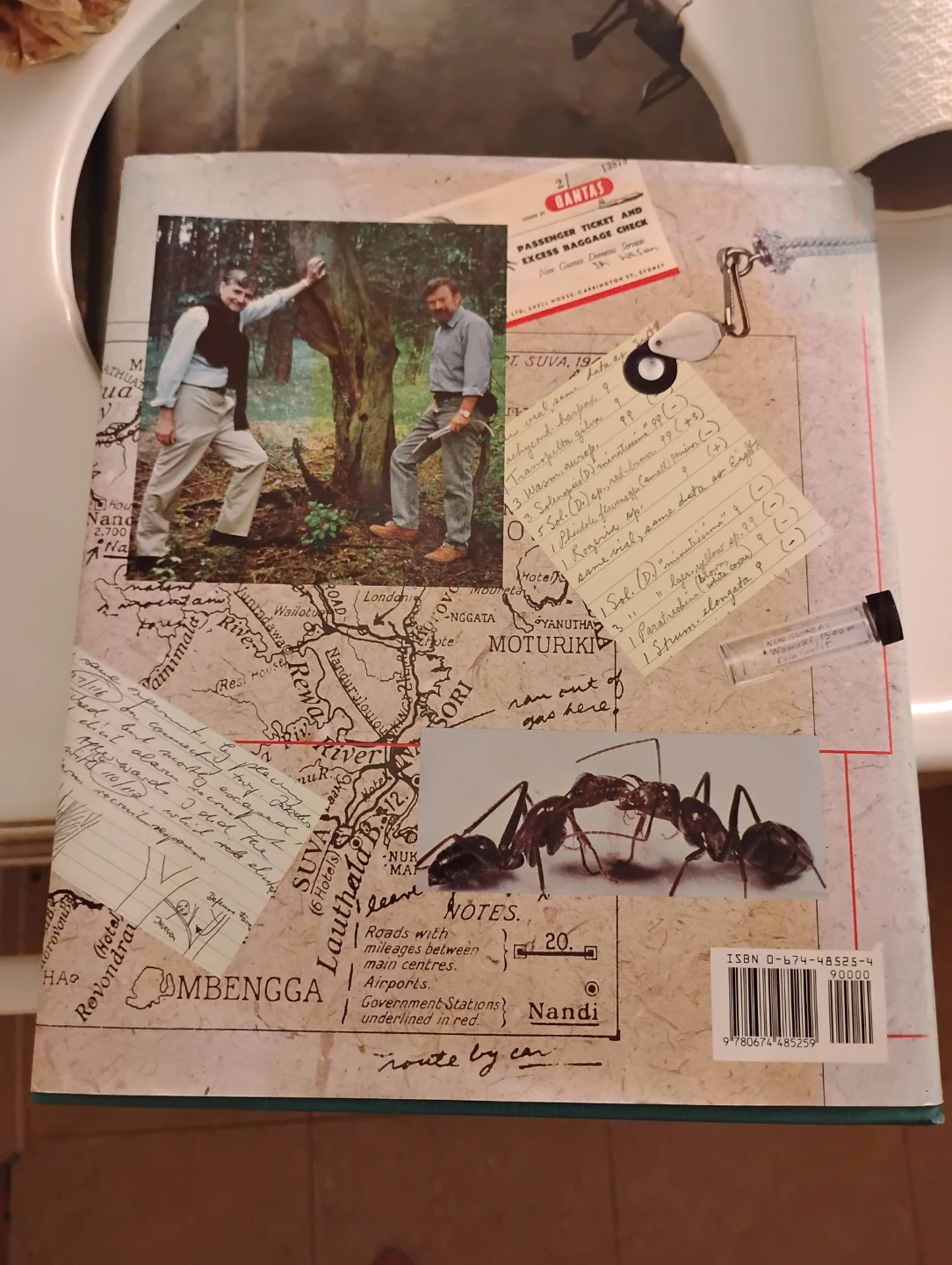 The Story of Art by E.H. Gombrich - 14th Edition - photo 2