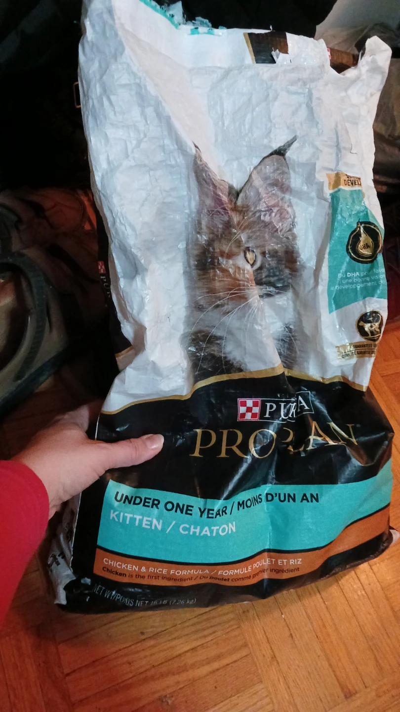 Free purina pro plan cat kitten food open bag - photo 3