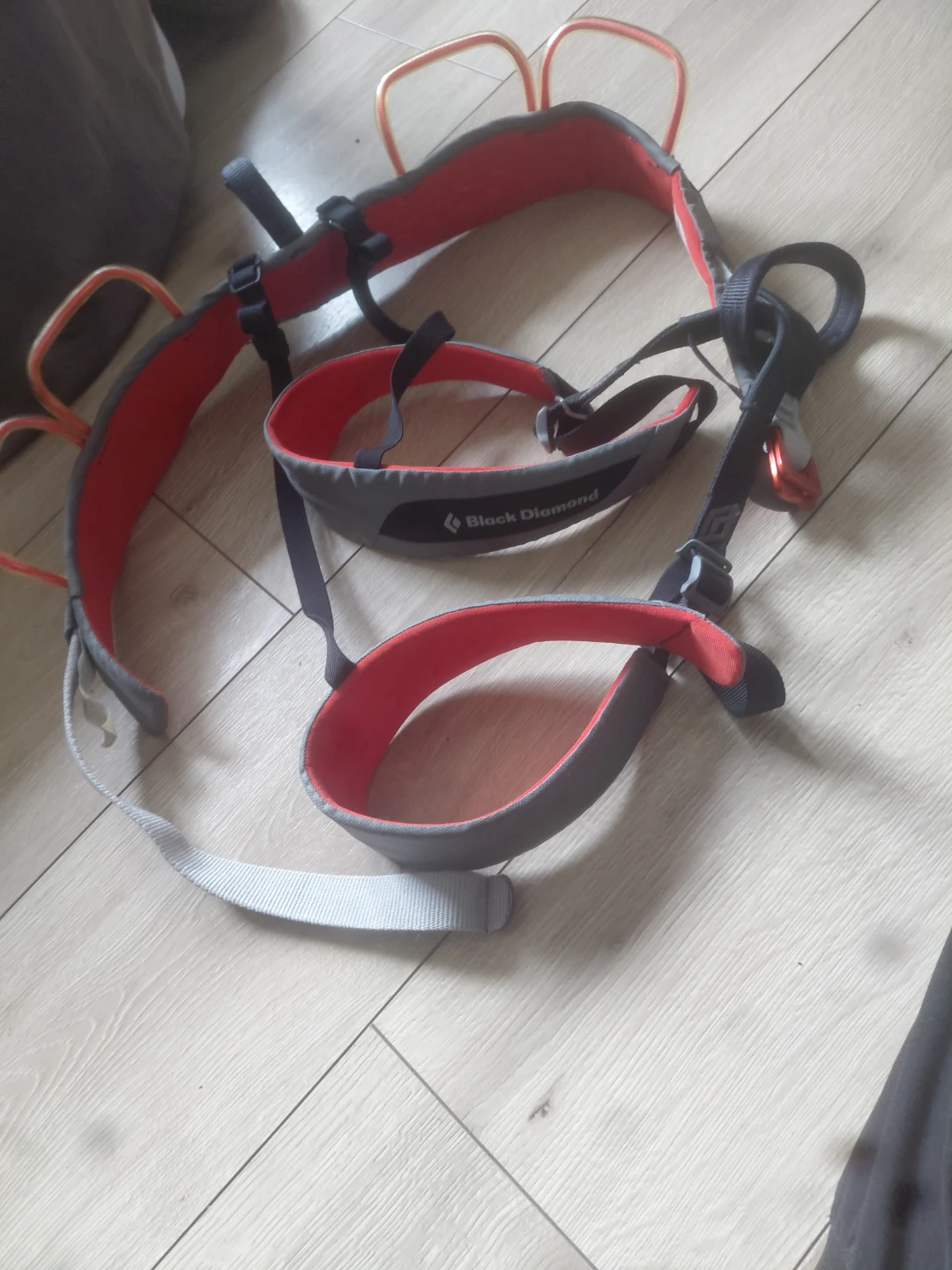 Black Diamond Climbing Harness