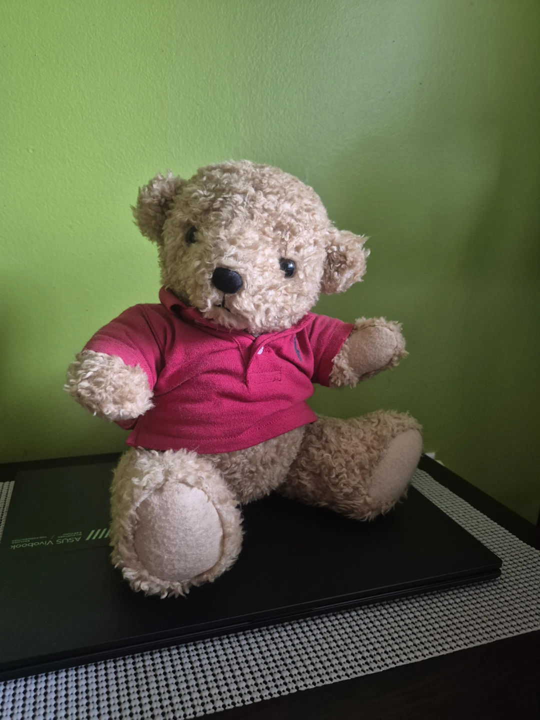 Ralph Lauren Teddy Bear Plush Toy