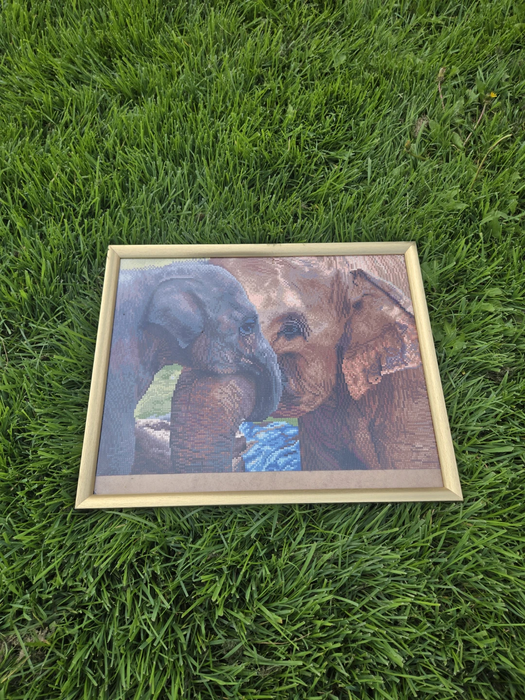 Diamond Painting in Frame